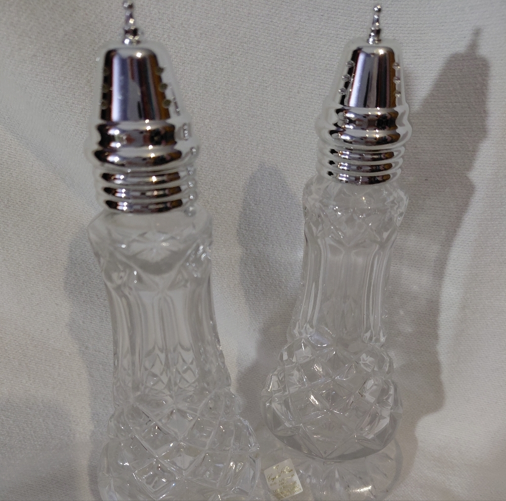 Elegant Silver and Clear Salt and Pepper Shakers